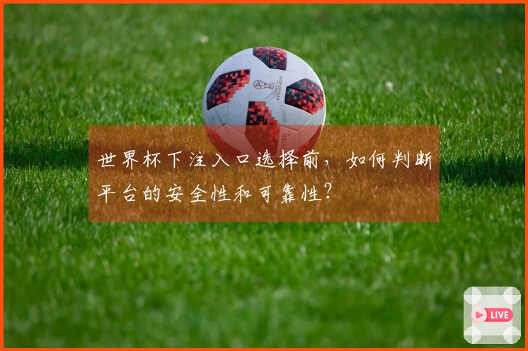 世界杯下注入口选择前，如何判断平台的安全性和可靠性？