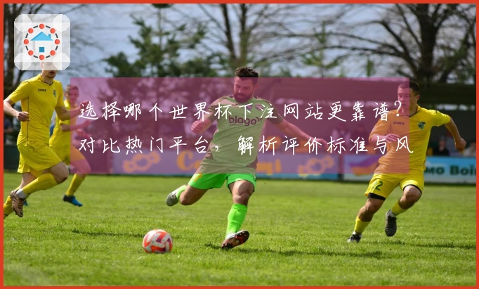 选择哪个世界杯下注网站更靠谱？对比热门平台，解析评价标准与风险提示
