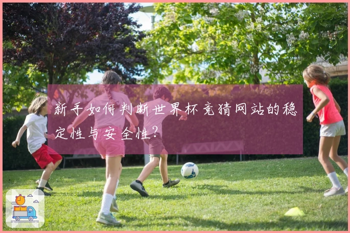新手如何判断世界杯竞猜网站的稳定性与安全性？