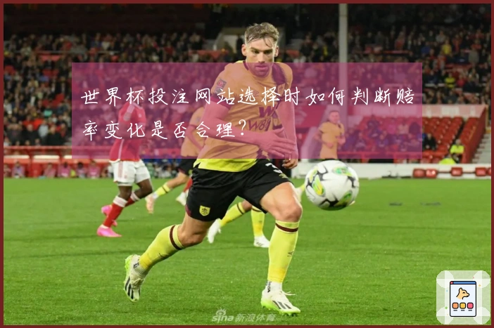 世界杯投注网站选择时如何判断赔率变化是否合理？