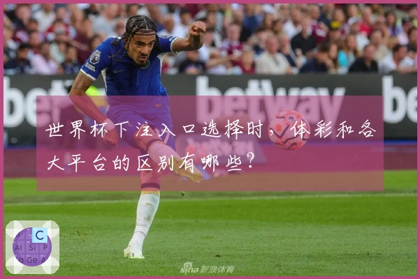 世界杯下注入口选择时，体彩和各大平台的区别有哪些？