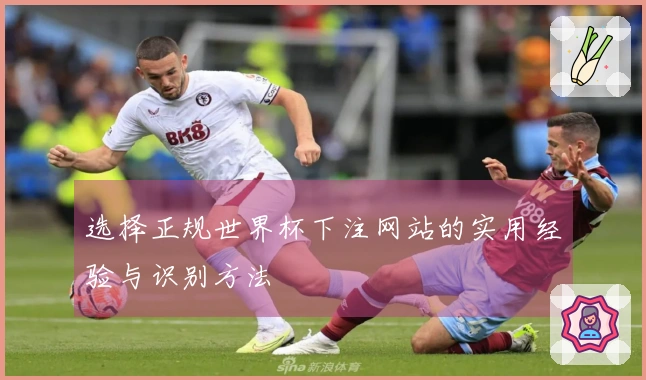 选择正规世界杯下注网站的实用经验与识别方法