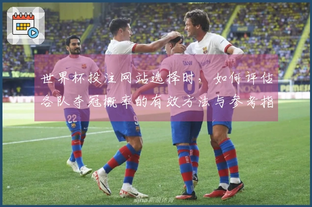 世界杯投注网站选择时，如何评估各队夺冠概率的有效方法与参考指标