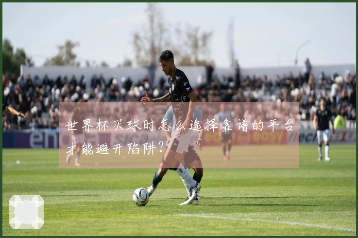 世界杯买球时怎么选择靠谱的平台才能避开陷阱？