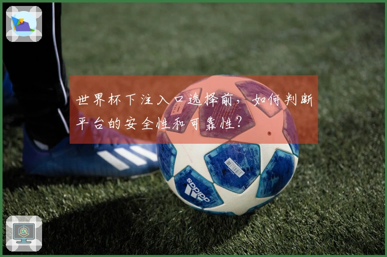 世界杯下注入口选择前，如何判断平台的安全性和可靠性？