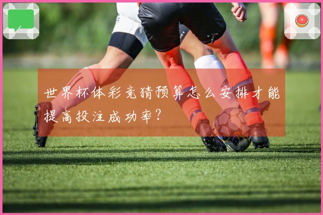 世界杯体彩竞猜预算怎么安排才能提高投注成功率？