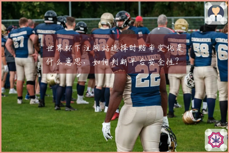 世界杯下注网站选择时赔率变化是什么意思，如何判断平台安全性？