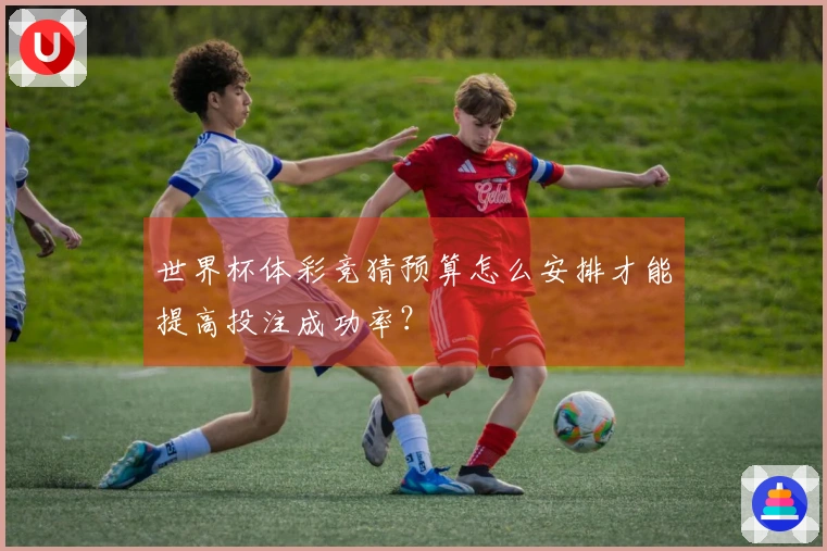 世界杯体彩竞猜预算怎么安排才能提高投注成功率？
