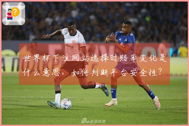 世界杯下注网站选择时赔率变化是什么意思，如何判断平台安全性？