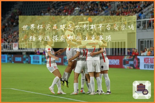 世界杯买足球怎么判断平台合法吗，赔率选择有哪些注意事项