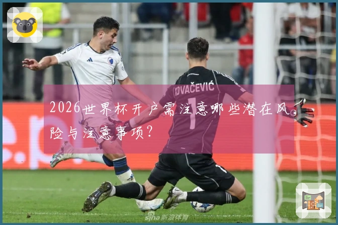 2026世界杯开户需注意哪些潜在风险与注意事项？