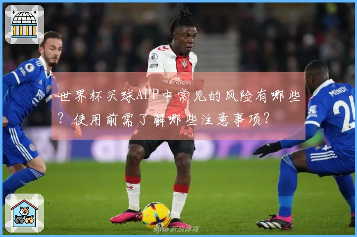 世界杯买球APP中常见的风险有哪些？使用前需了解哪些注意事项？