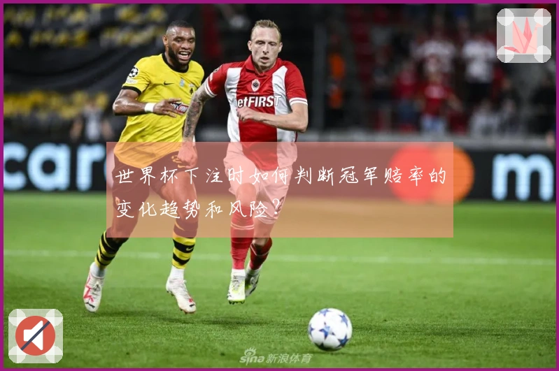 世界杯下注时如何判断冠军赔率的变化趋势和风险？