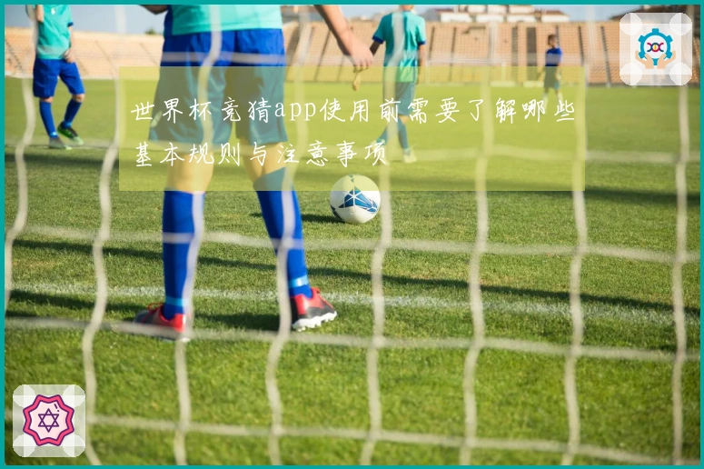 世界杯竞猜app使用前需要了解哪些基本规则与注意事项