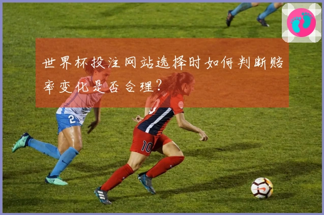 世界杯投注网站选择时如何判断赔率变化是否合理？