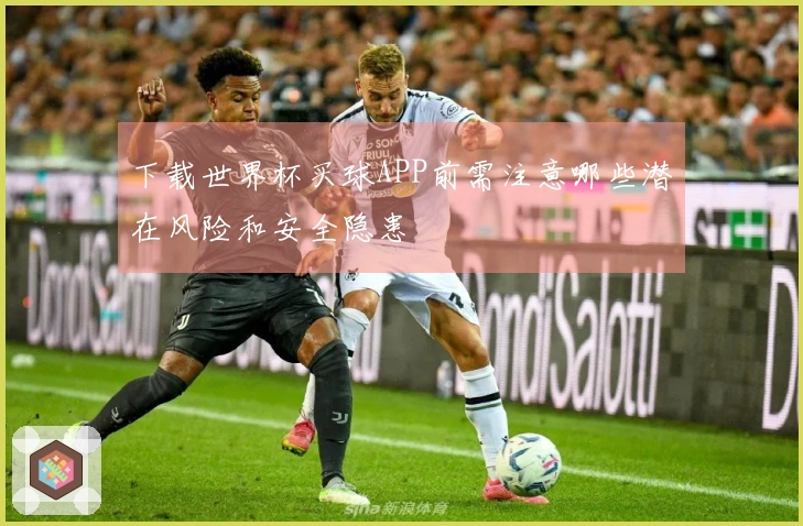 下载世界杯买球APP前需注意哪些潜在风险和安全隐患